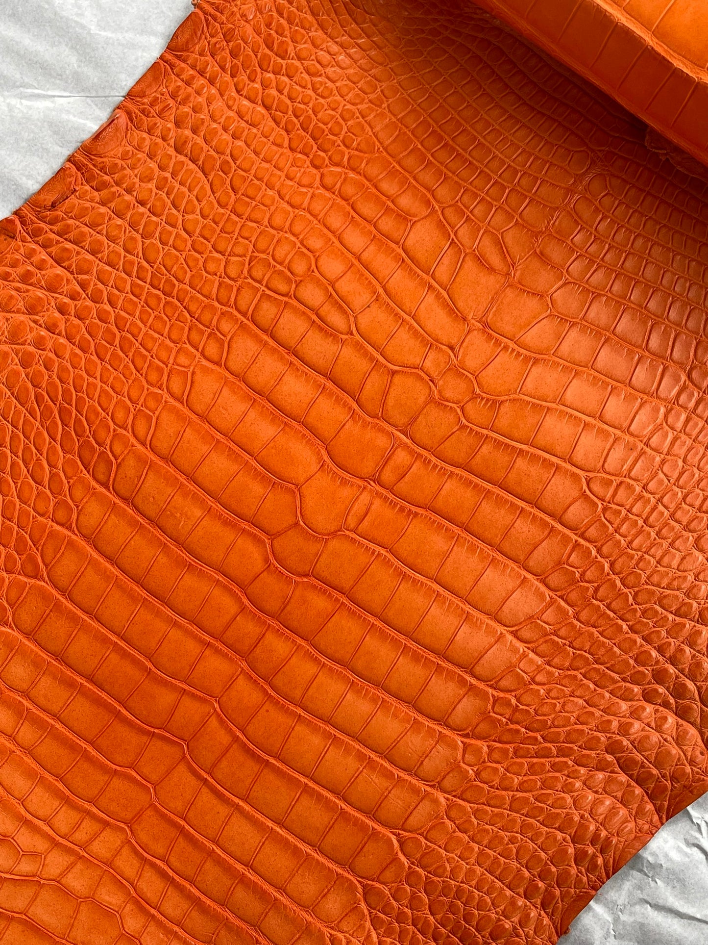 Genuine Orange Alligator Skin