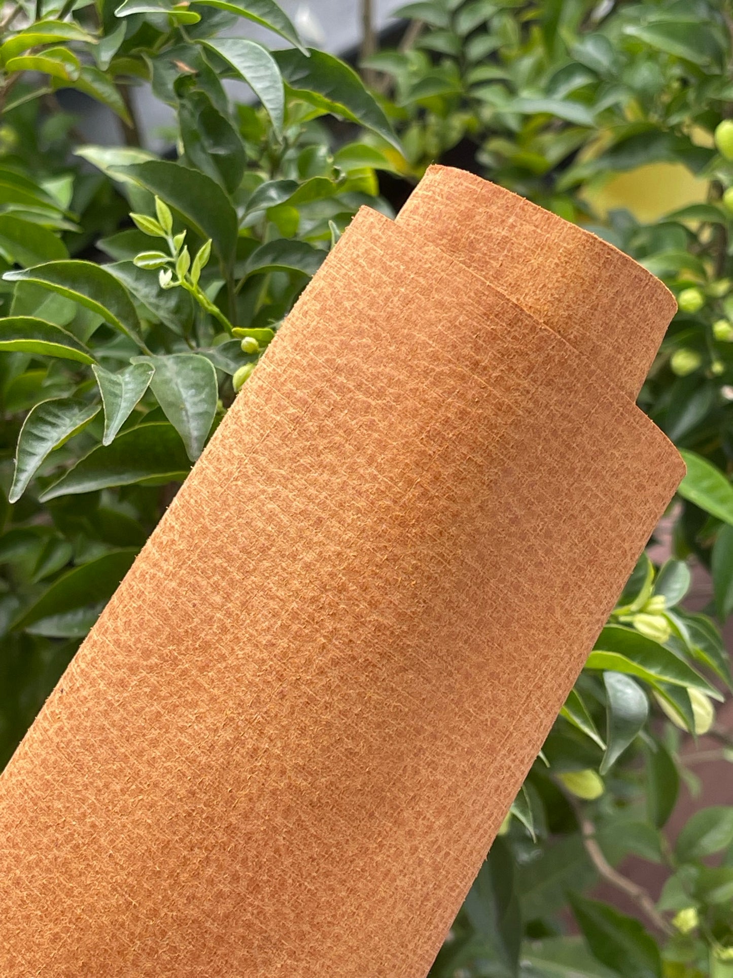 Babele leather