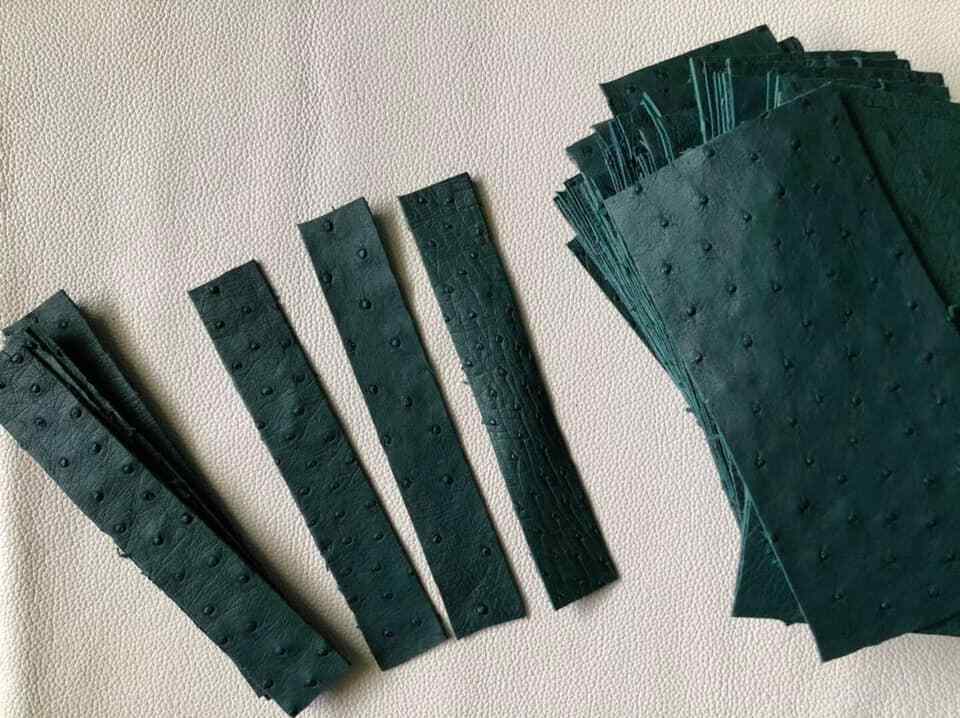 Genuine Ostrich Skin