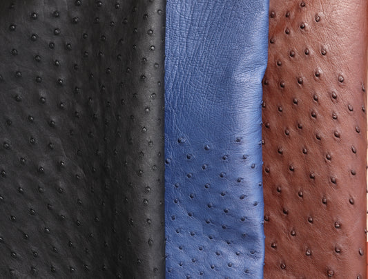 Genuine Ostrich Skin