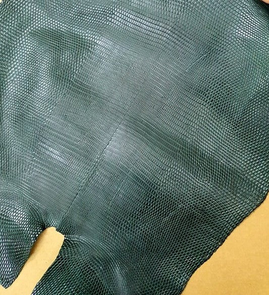 Genuine Lizard Skin