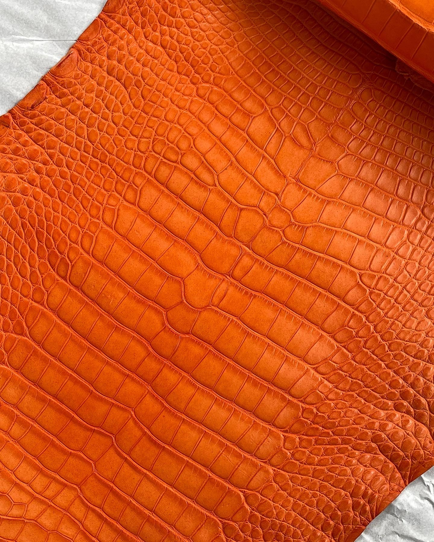 Genuine Orange Alligator Skin