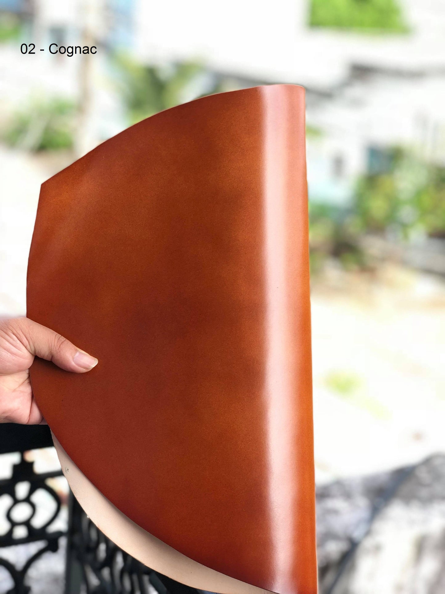 Shell Cordovan Leather