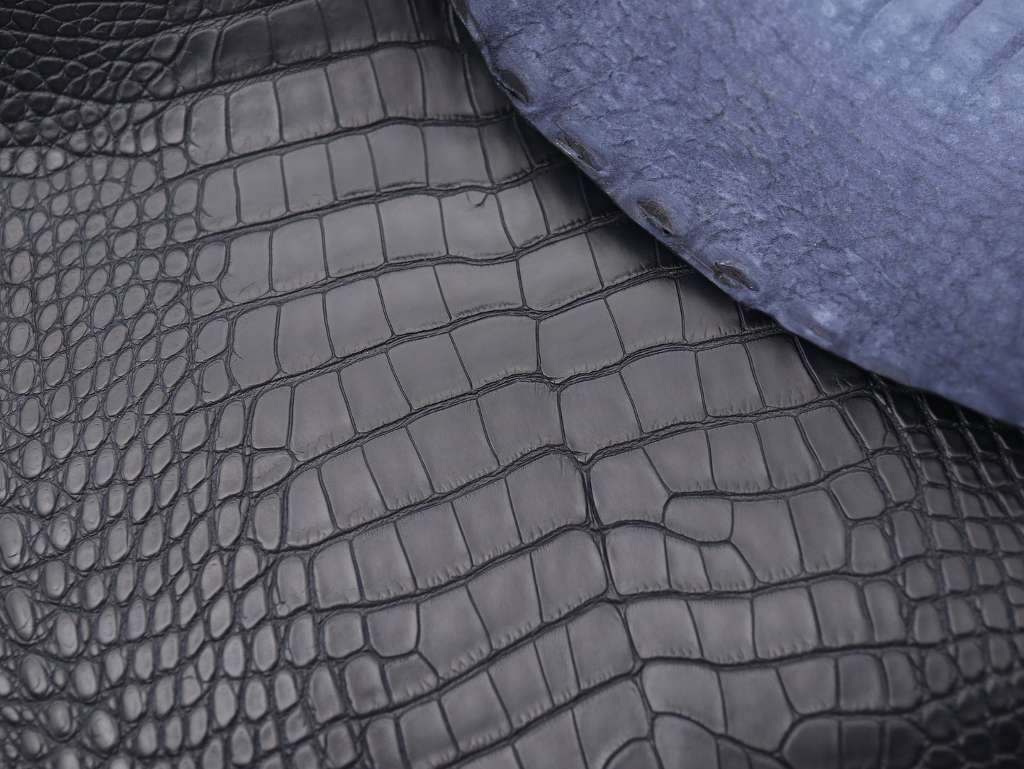 Navy Alligator skin (Marine color tone)