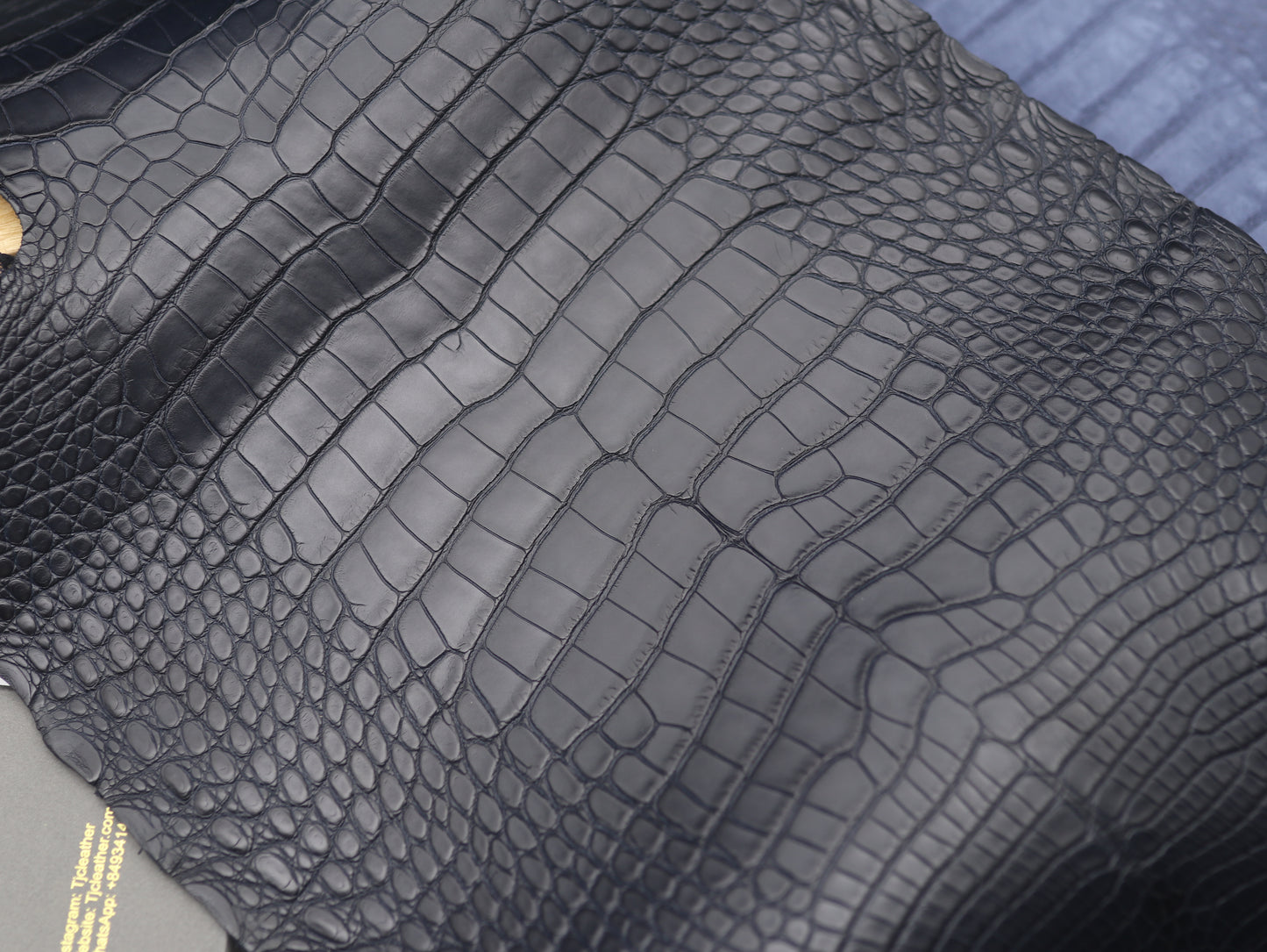 Navy Alligator skin (Marine color tone)