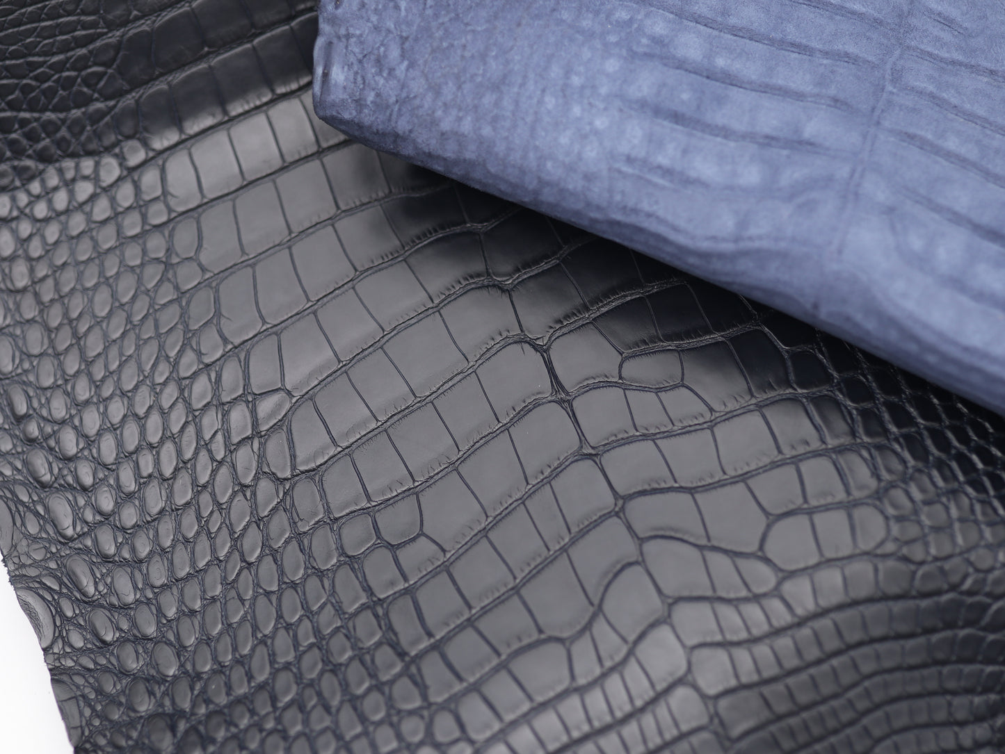 Navy Alligator skin (Marine color tone)