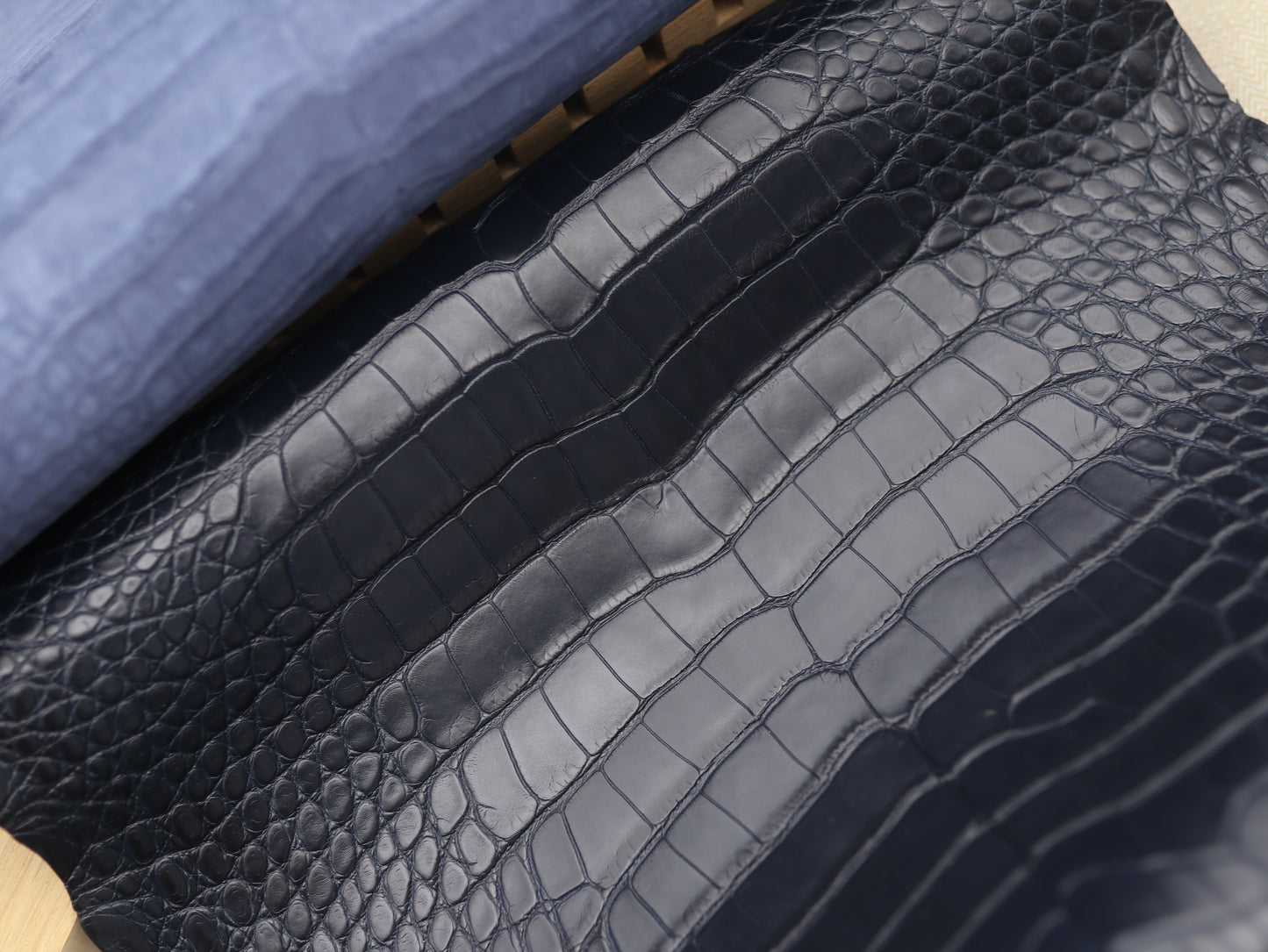 Navy Alligator skin (Marine color tone)