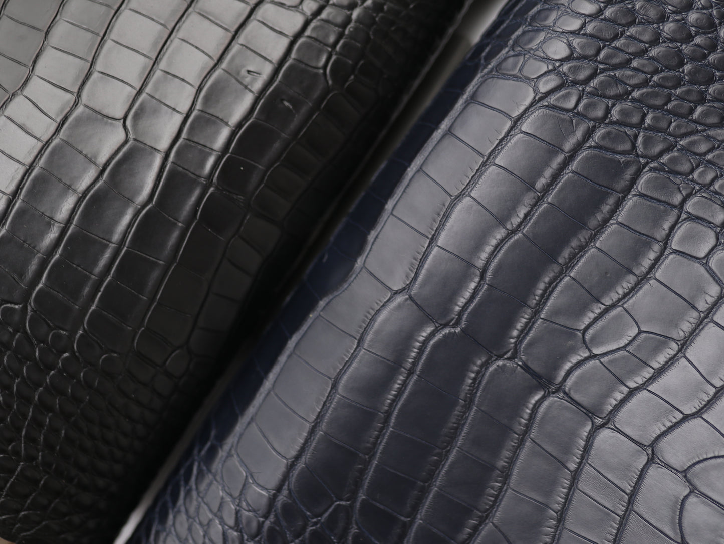 Navy Alligator skin (Marine color tone)