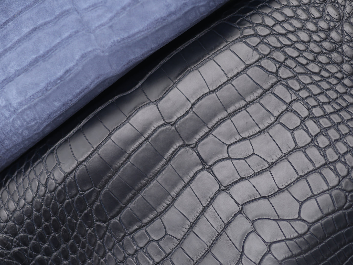 Navy Alligator skin (Marine color tone)