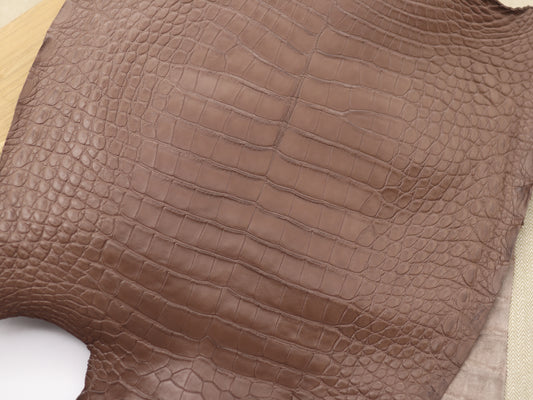 Genuine Taupe Alligator Skin
