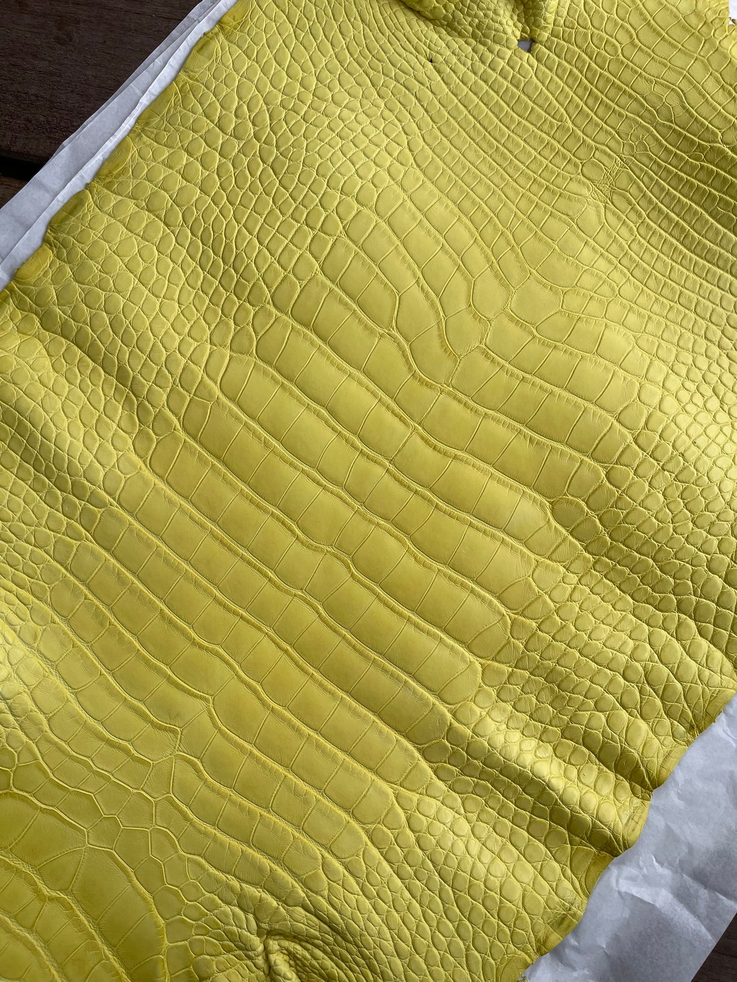 Genuine Yellow Alligator Skin