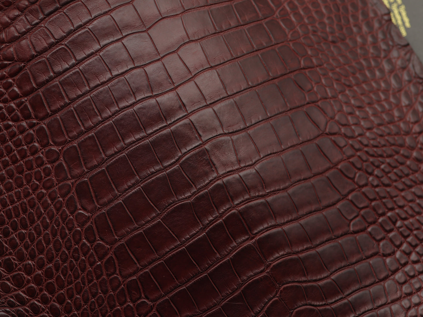 Genuine Burgundy Alligator Skin