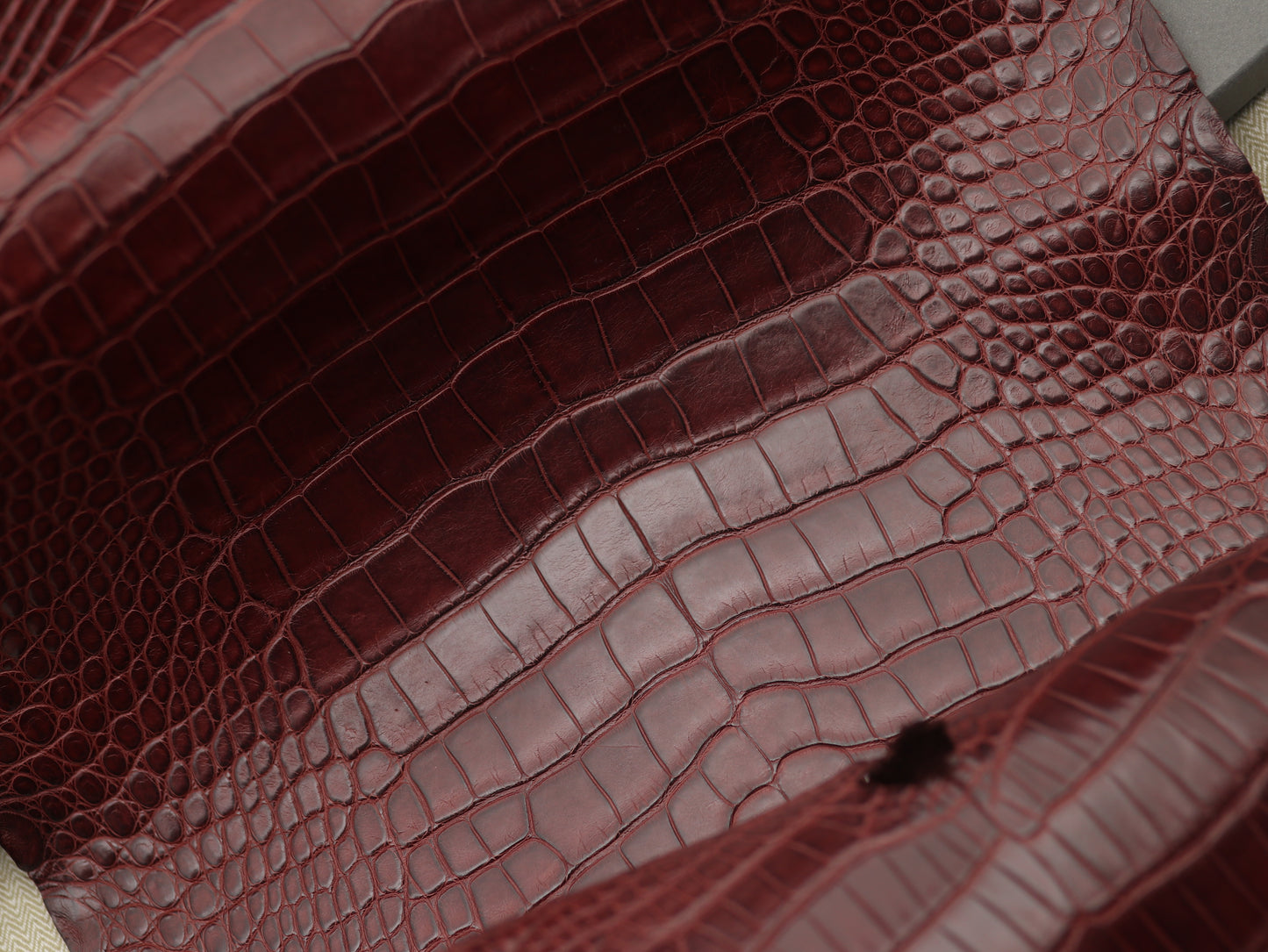 Genuine Burgundy Alligator Skin