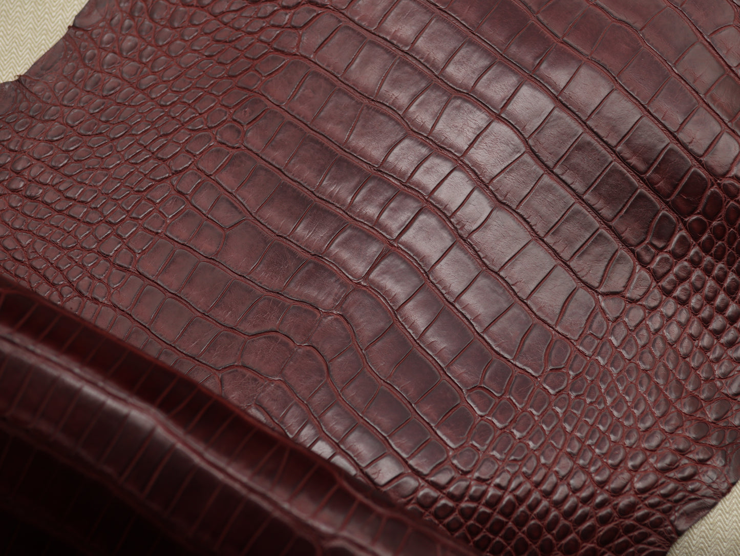 Genuine Burgundy Alligator Skin