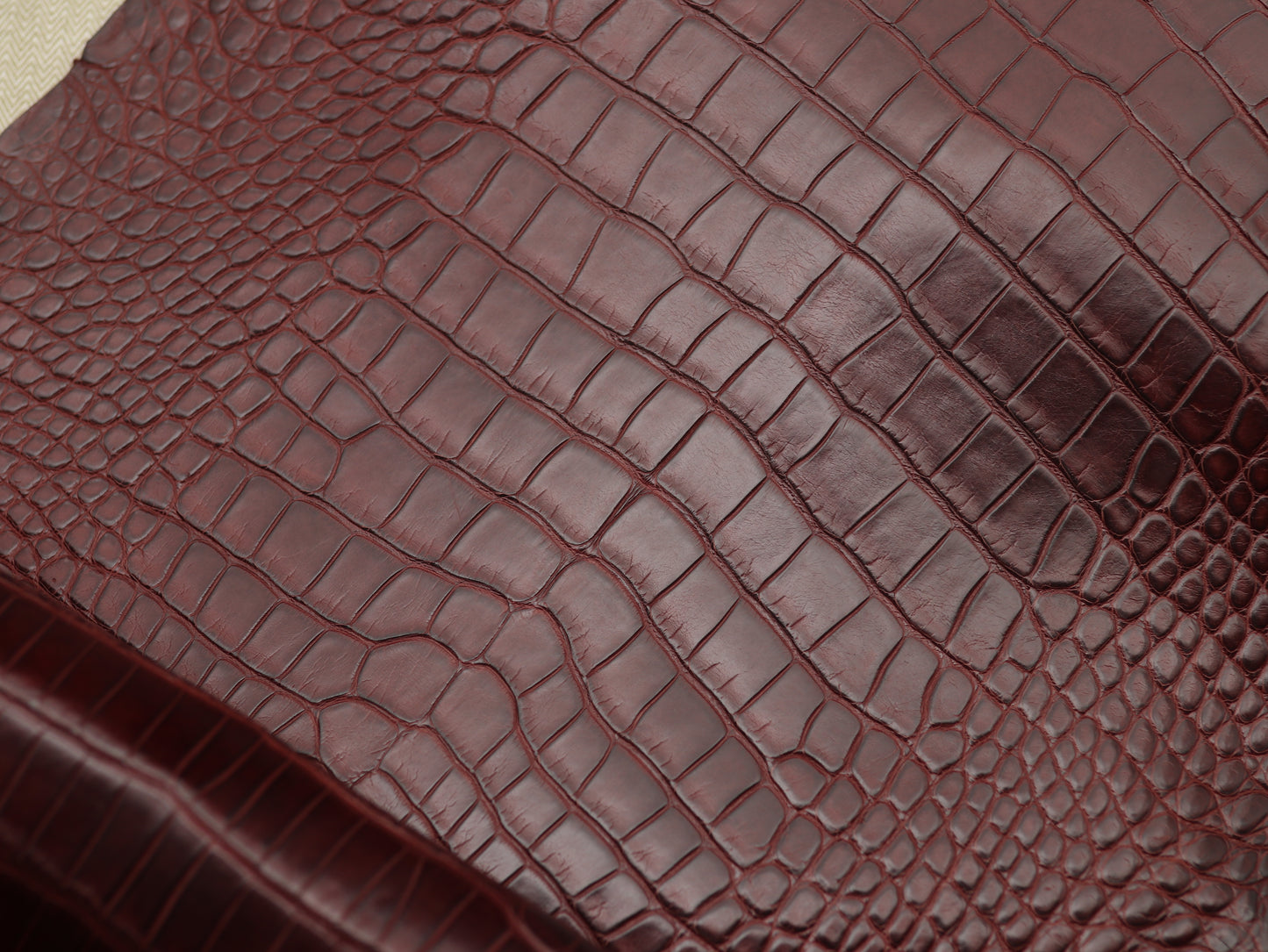 Genuine Burgundy Alligator Skin