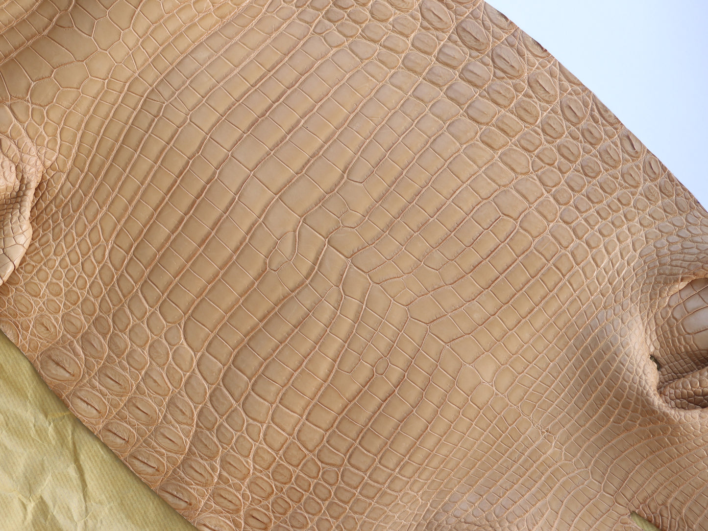 Genuine Haze Alligator Skin