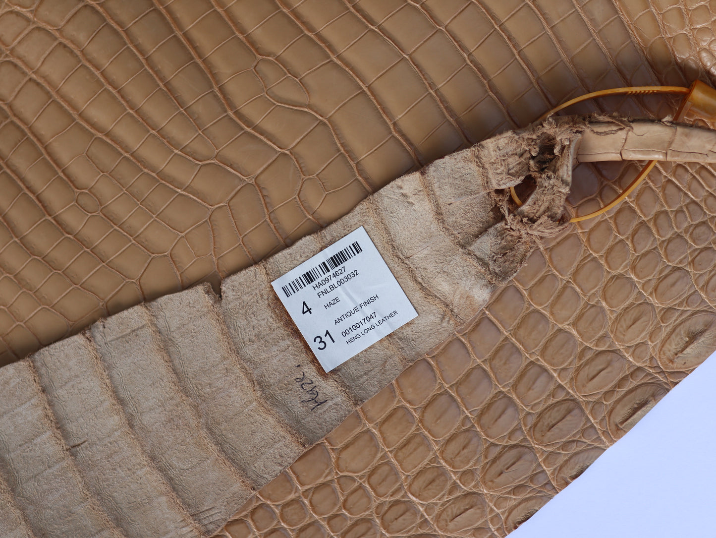 Genuine Haze Alligator Skin