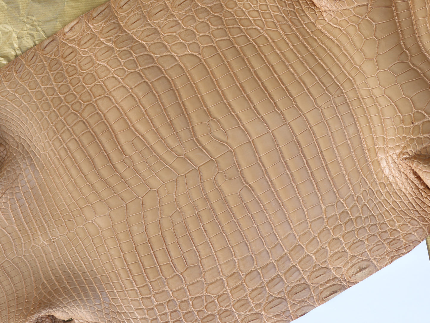 Genuine Haze Alligator Skin