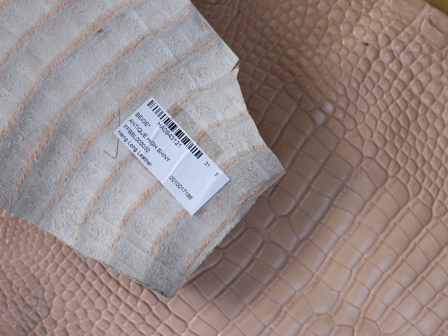 Genuine Beige Alligator Skin