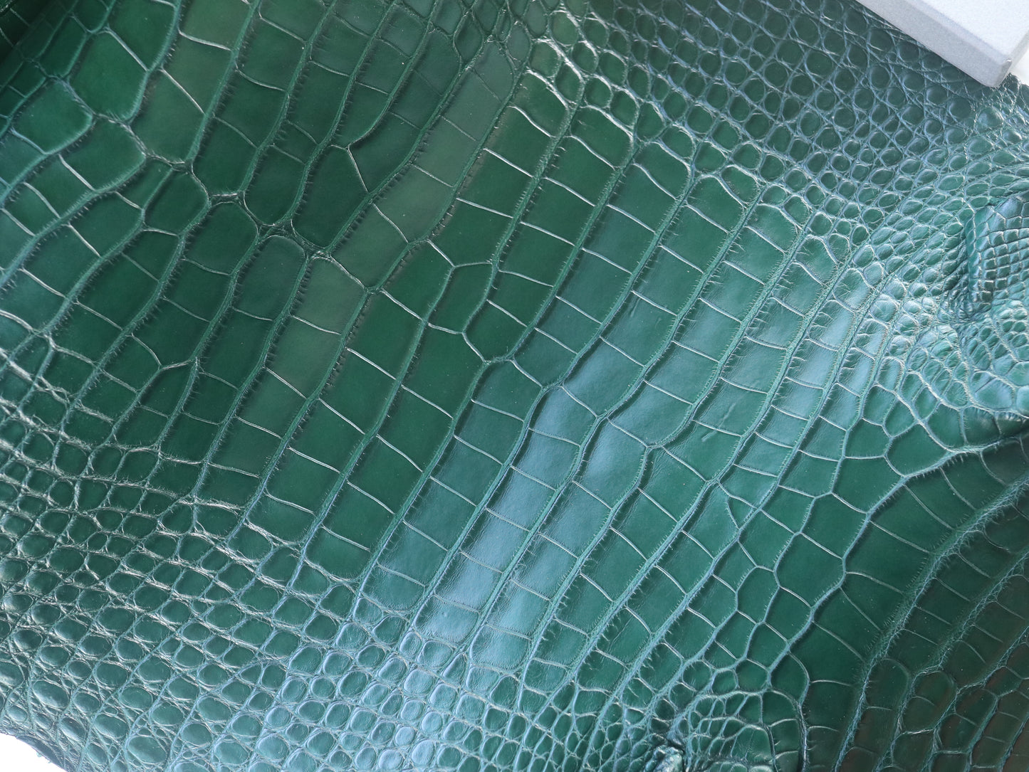 Genuine Green Alligator Skin