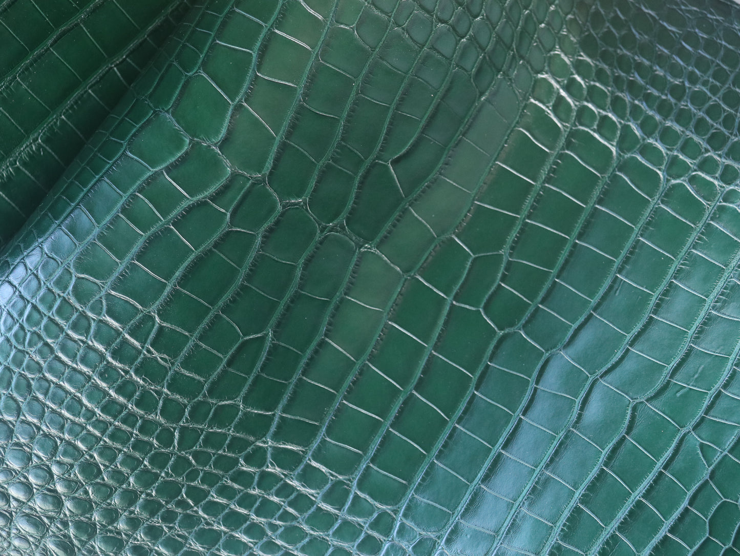 Genuine Green Alligator Skin