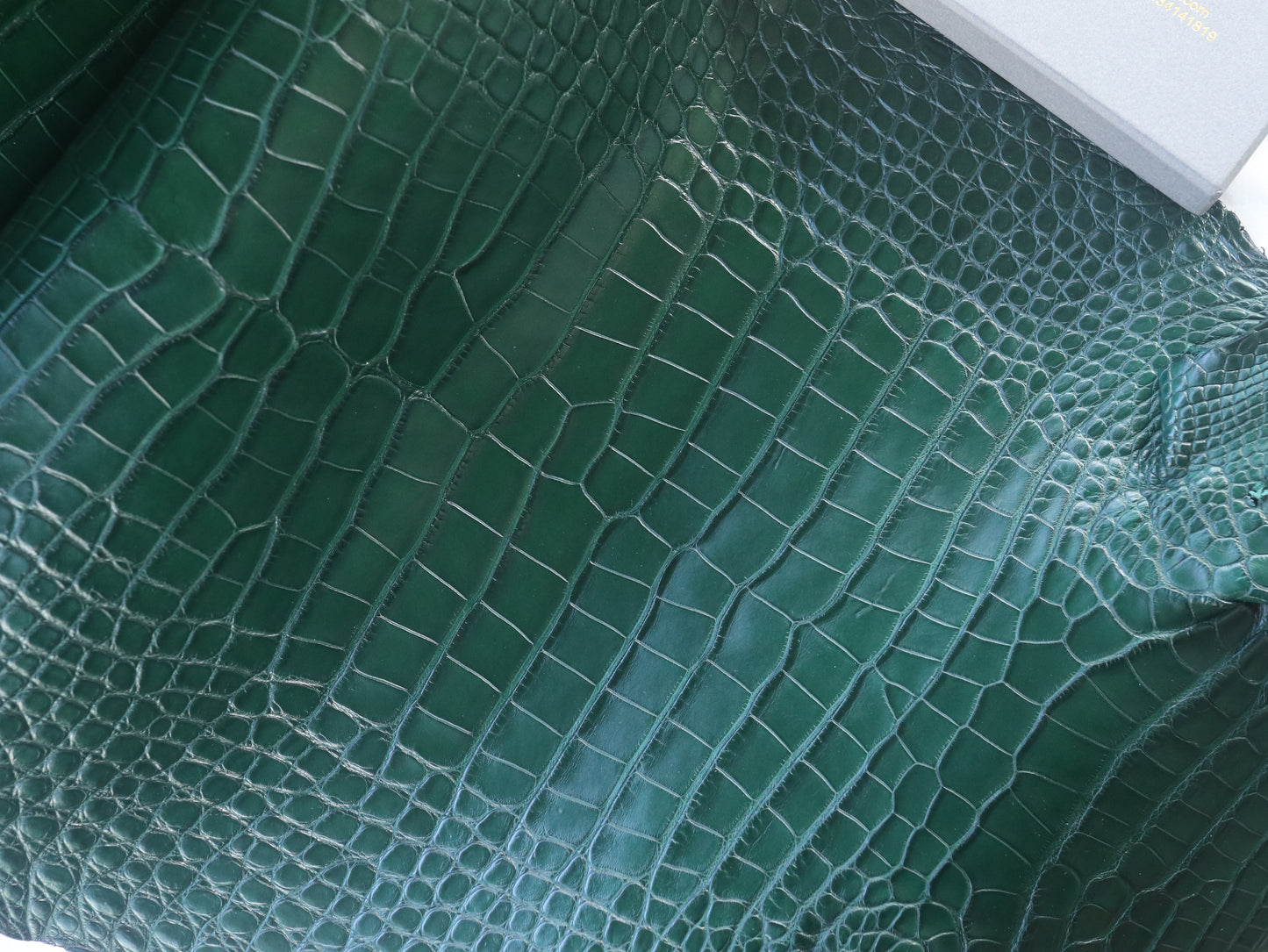 Genuine Green Alligator Skin