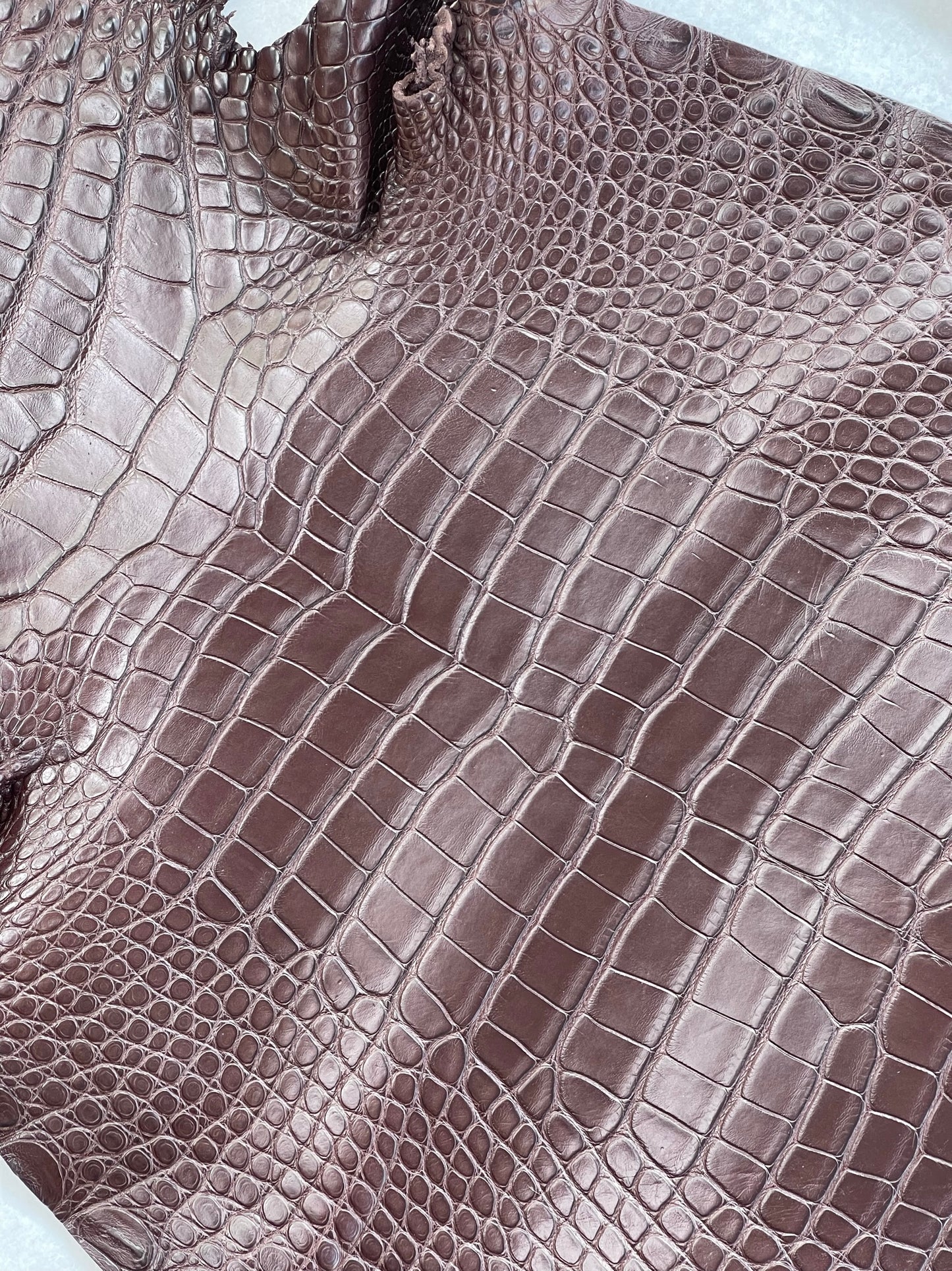 Matte Chocolate