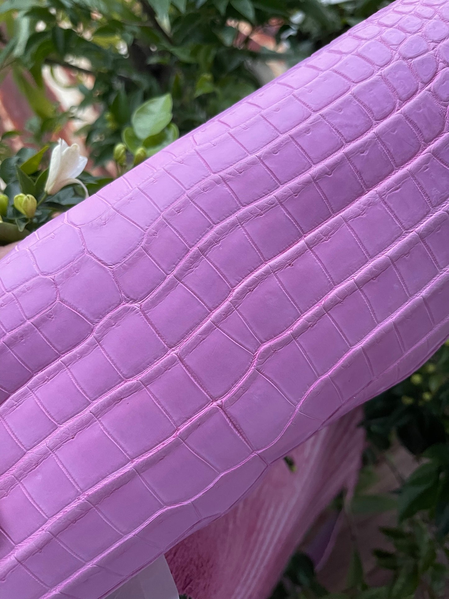 Genuine Pink Alligator Skin