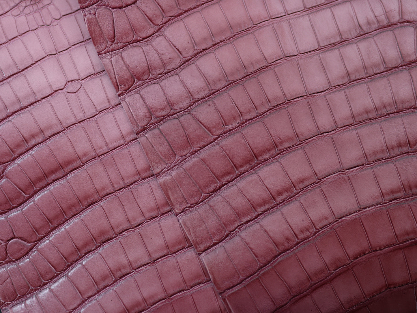 Genuine Pink Alligator Skin