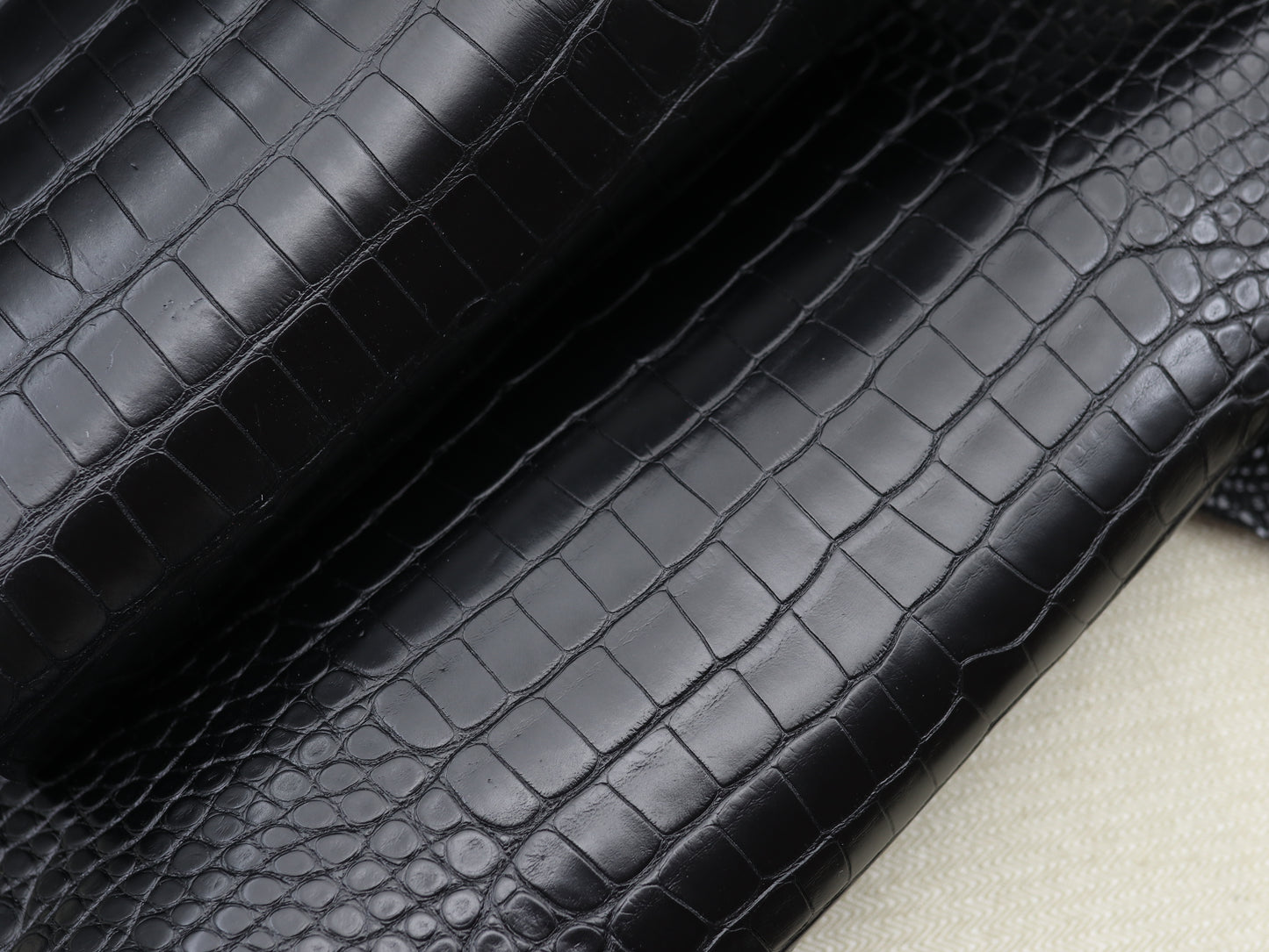 Genuine Black Alligator Skin