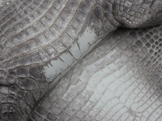 Genuine Hymalayan Alligator Skin