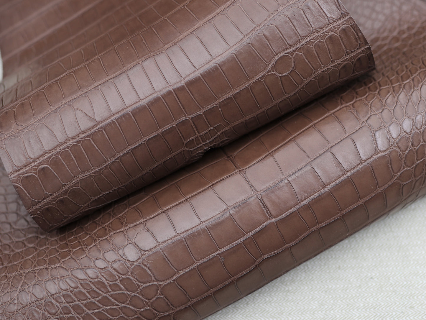 Genuine Brown Alligator Skin