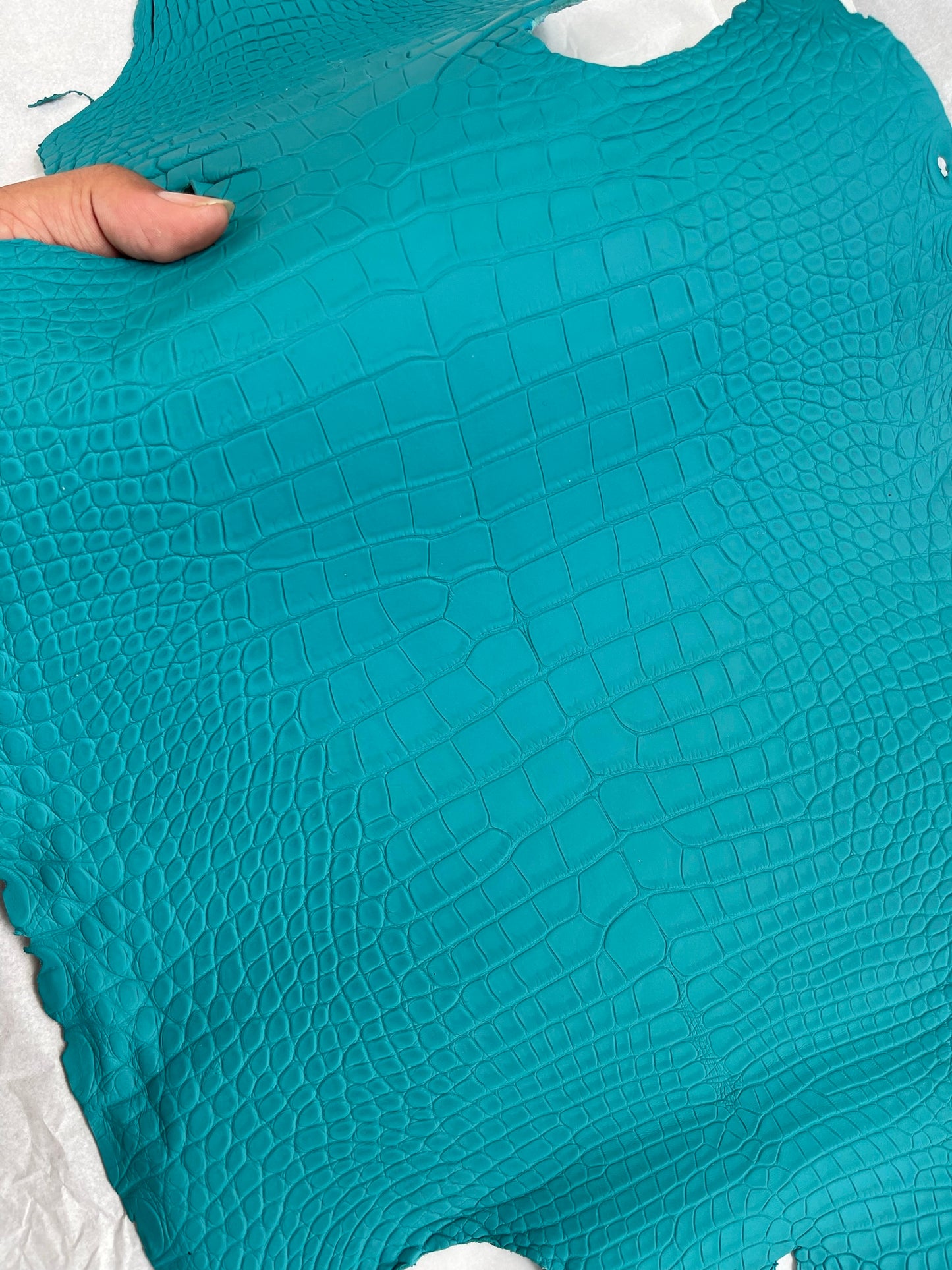 Genuine Turqoise Alligator Skin