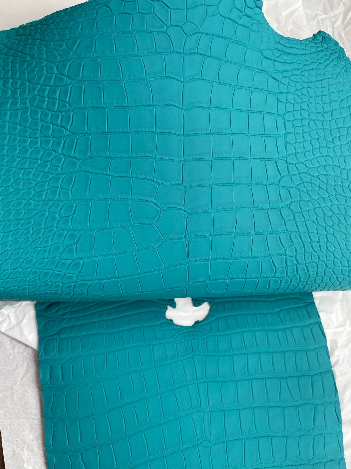 Genuine Turqoise Alligator Skin
