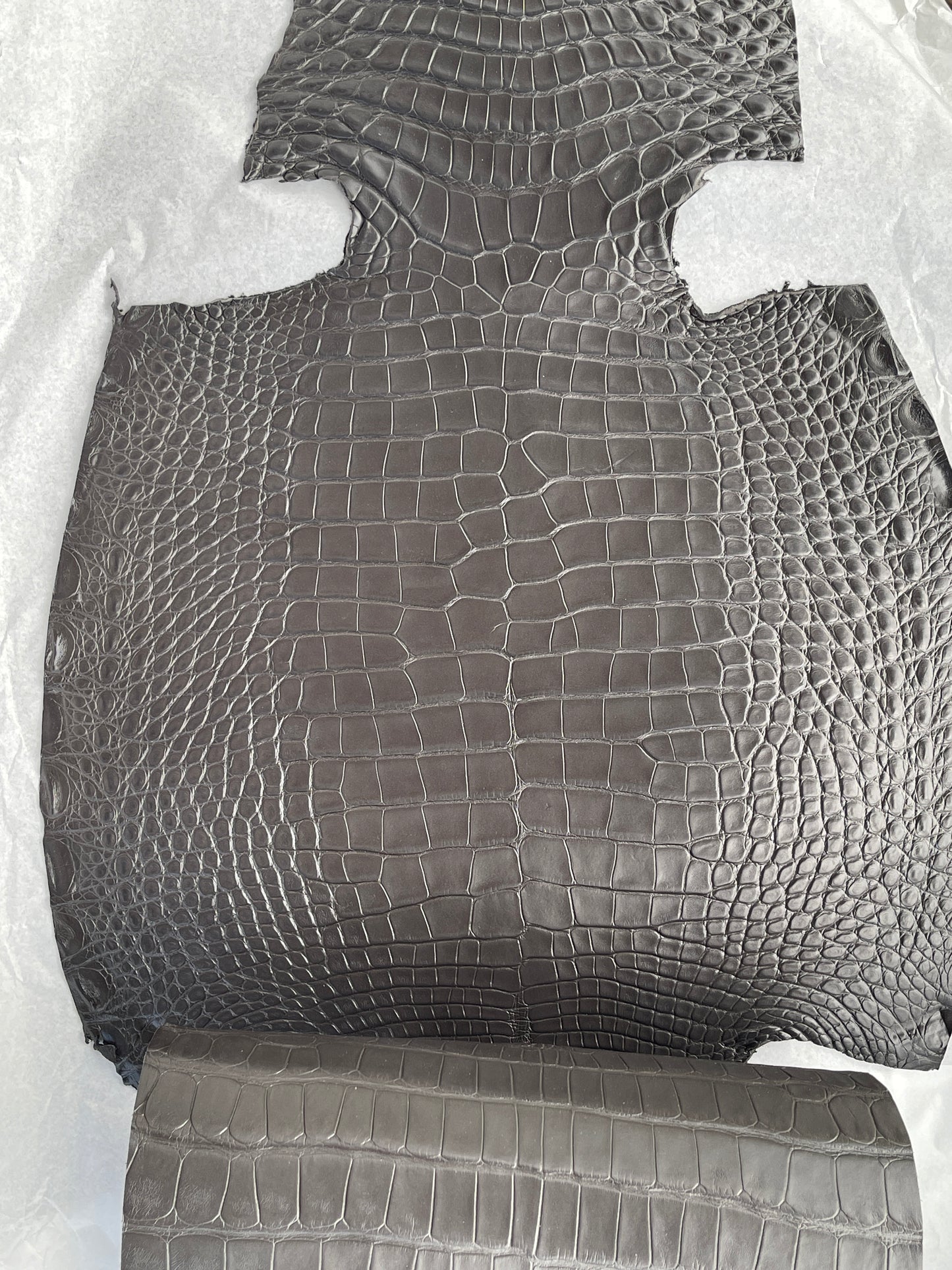 Genuine Grey Alligator Skin