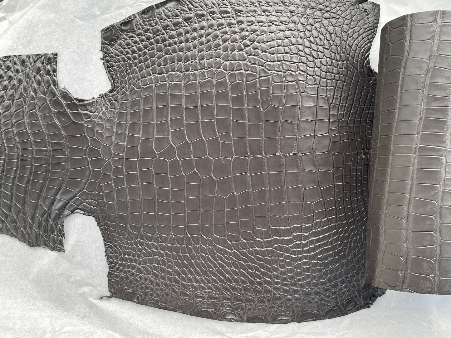 Genuine Grey Alligator Skin