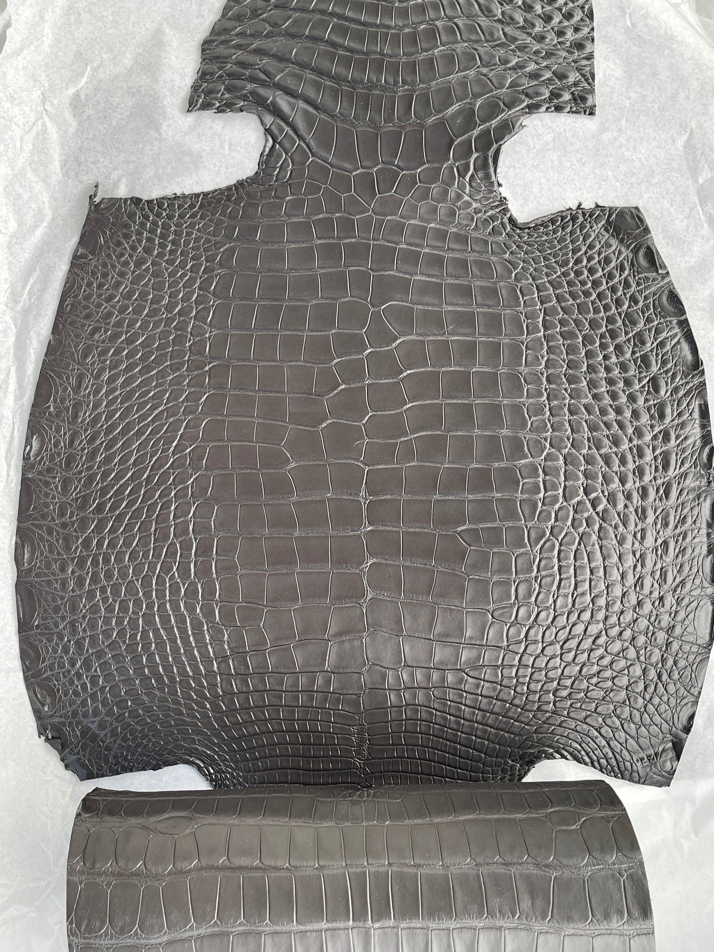Genuine Grey Alligator Skin