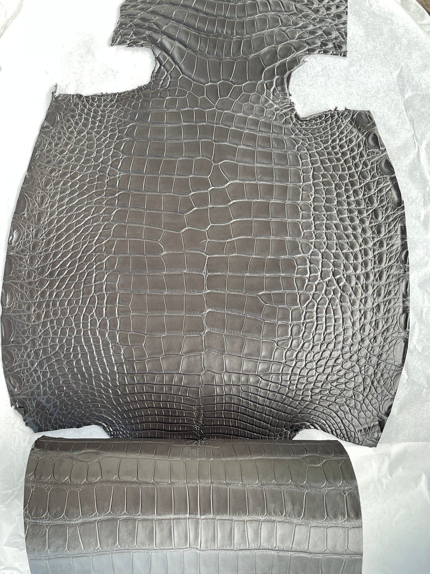Genuine Grey Alligator Skin
