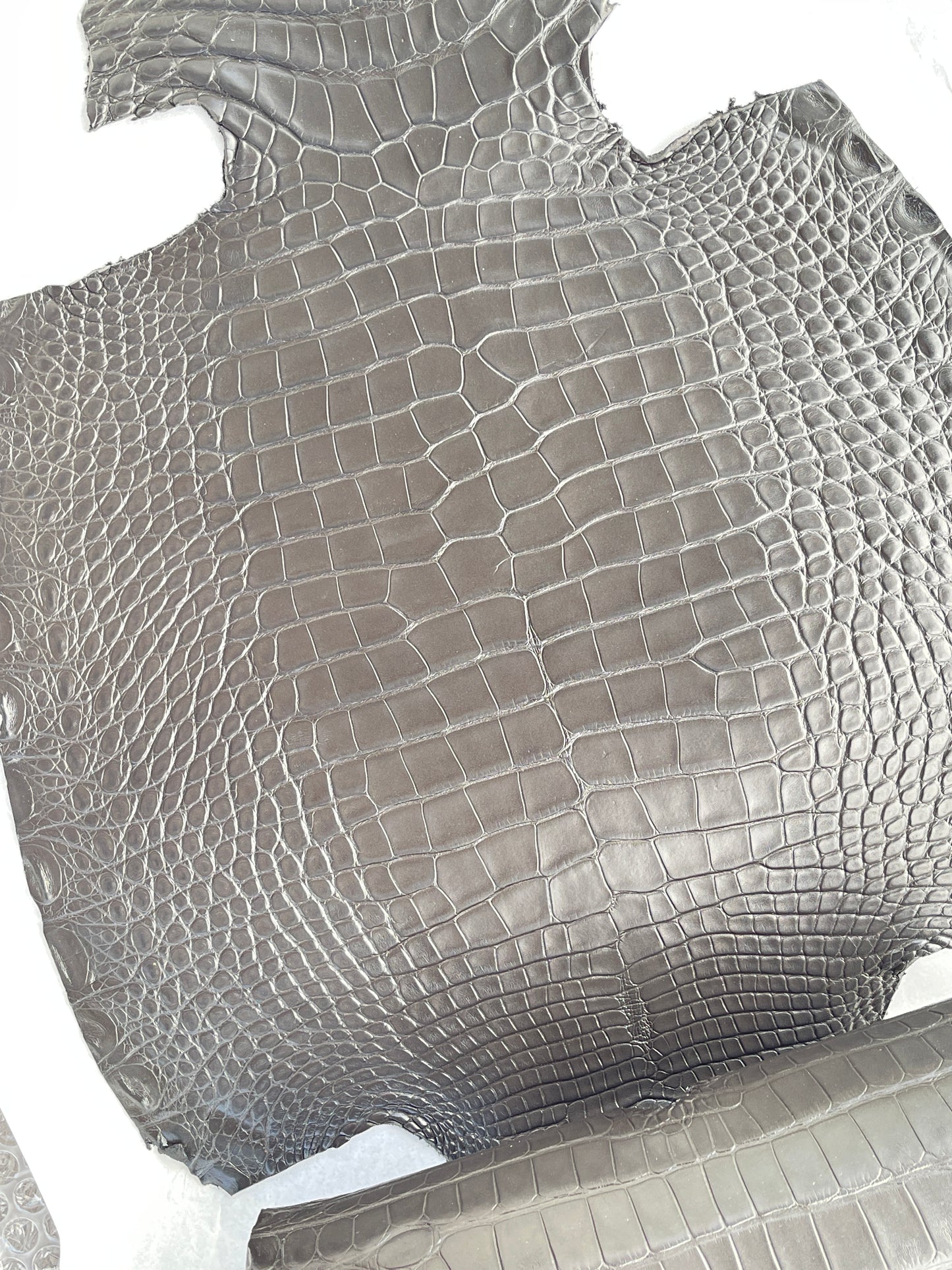 Genuine Grey Alligator Skin