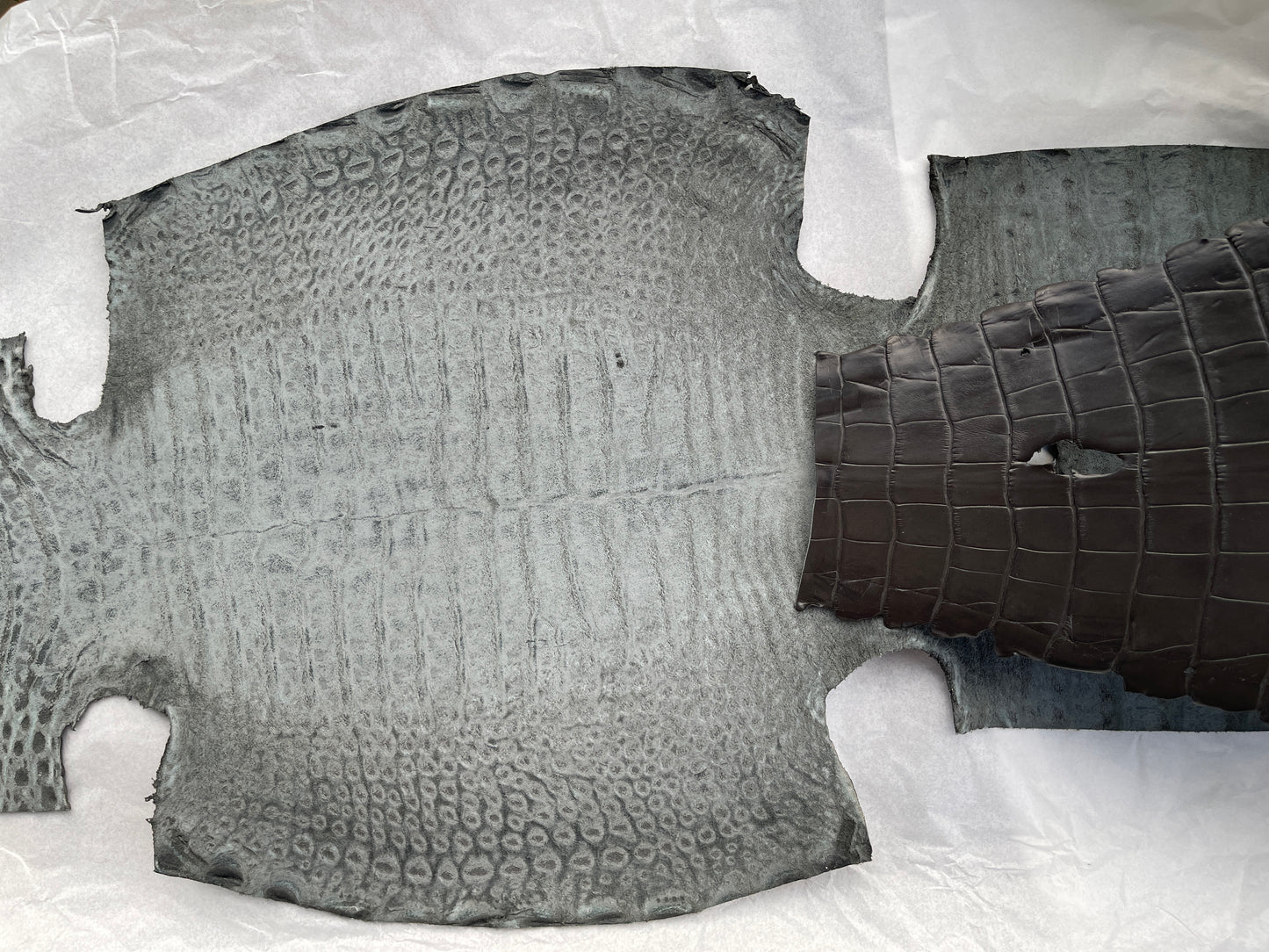 Genuine Grey Alligator Skin
