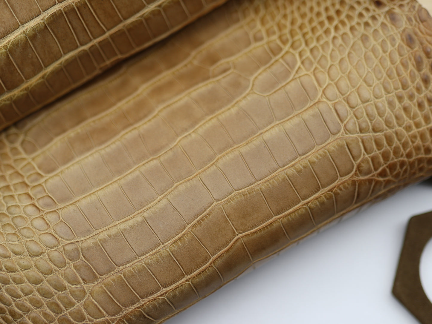 Genuine Tan Alligator Skin