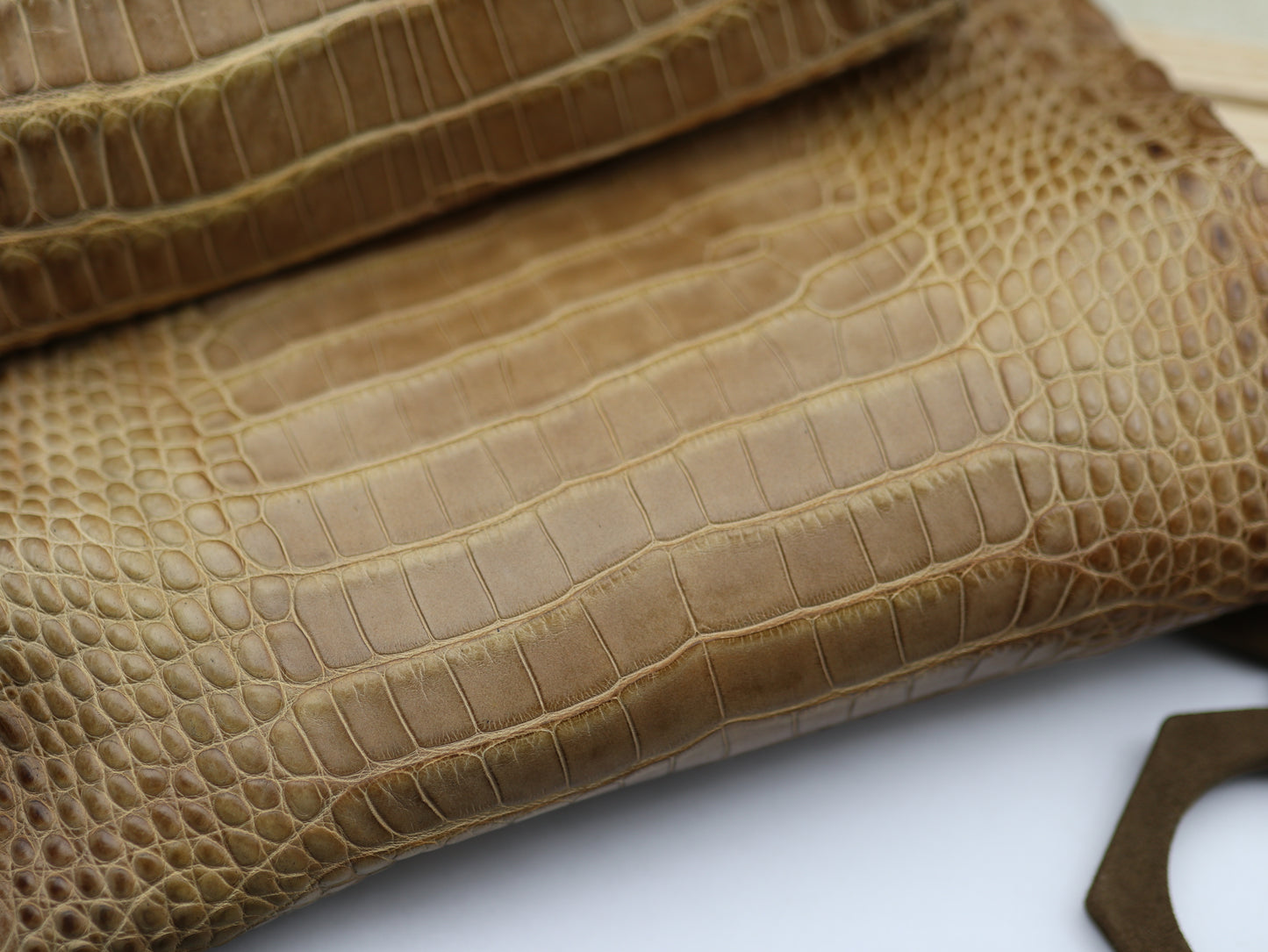 Genuine Tan Alligator Skin