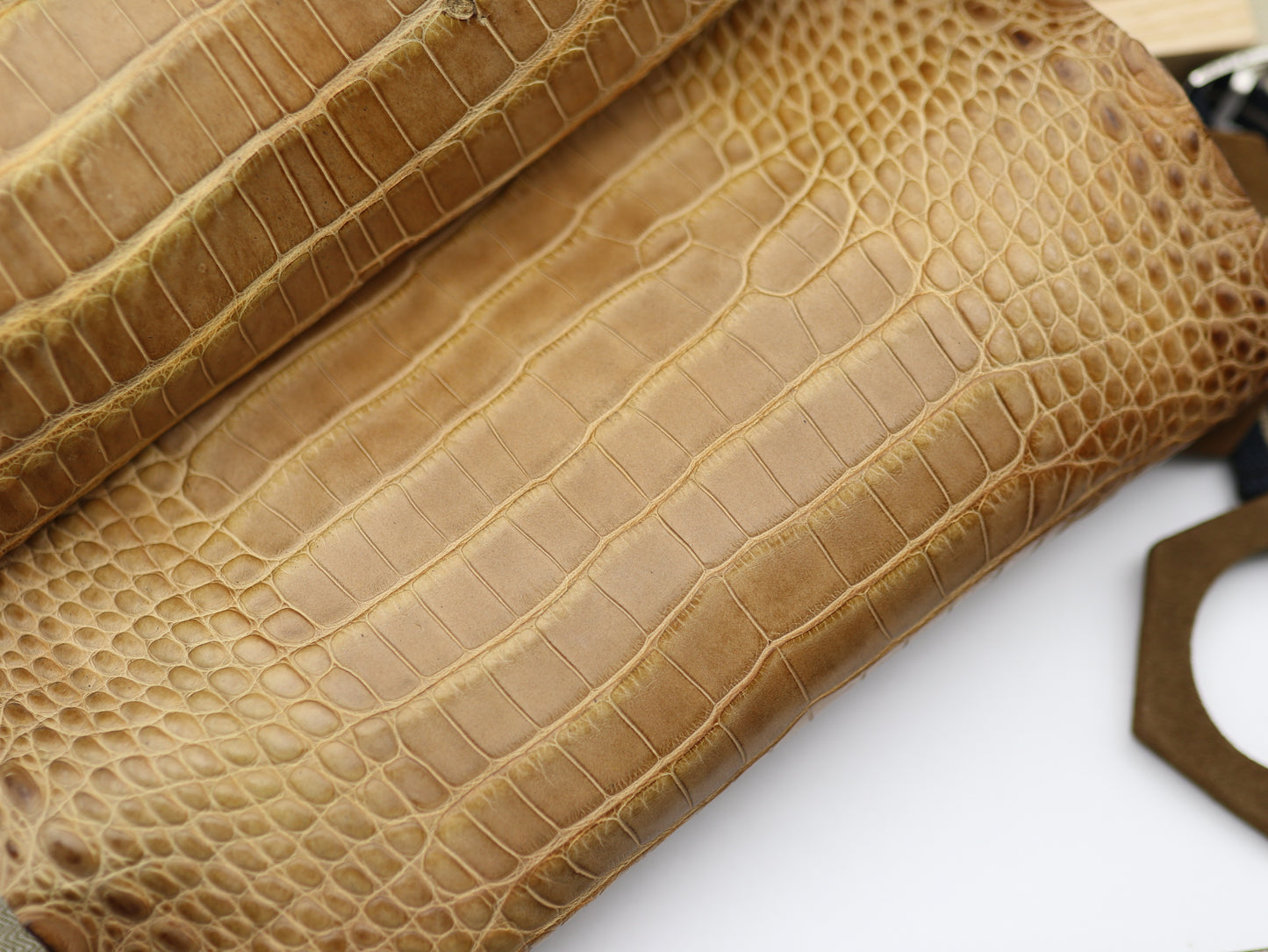 Genuine Tan Alligator Skin