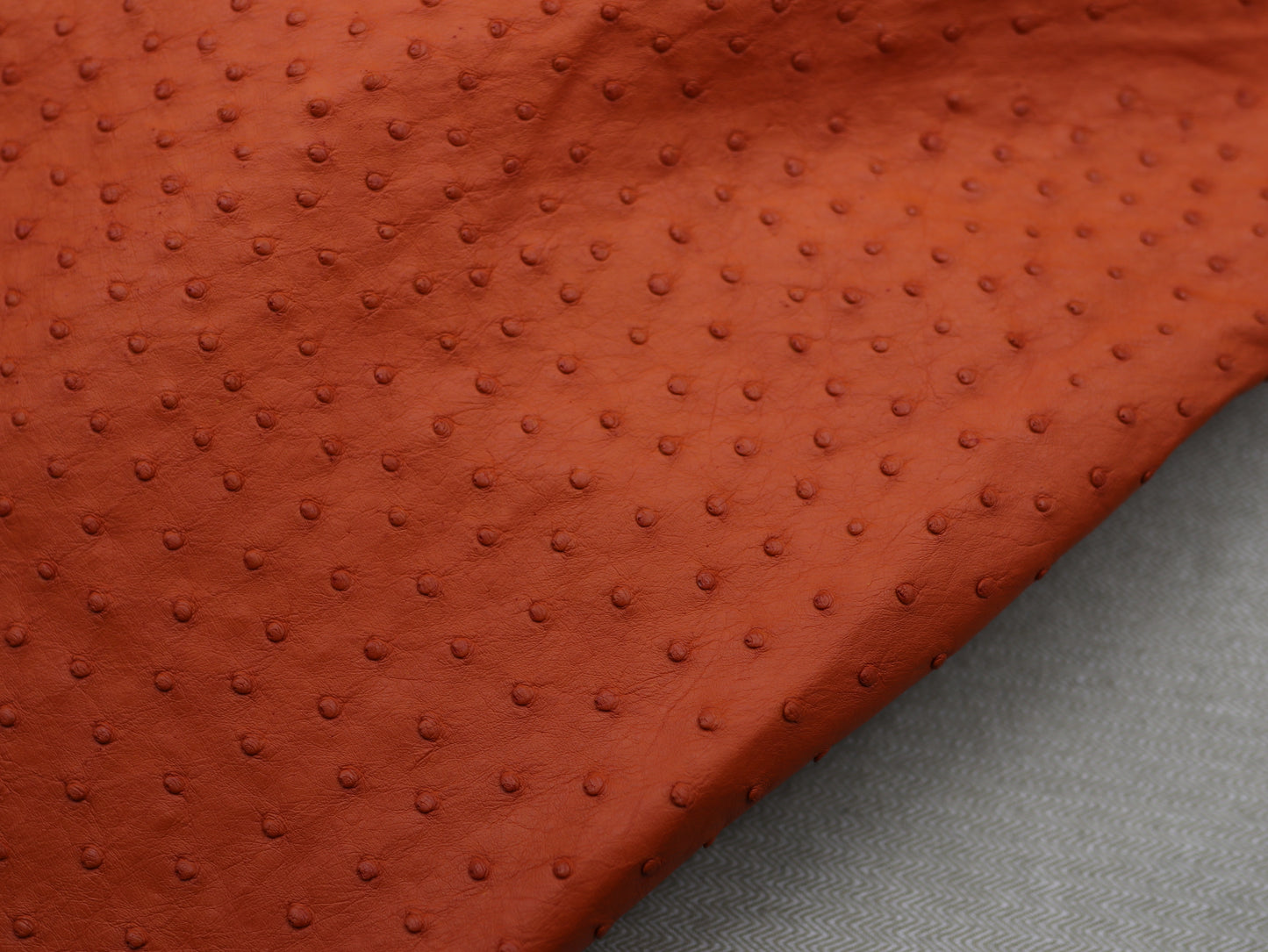 Genuine Ostrich Skin