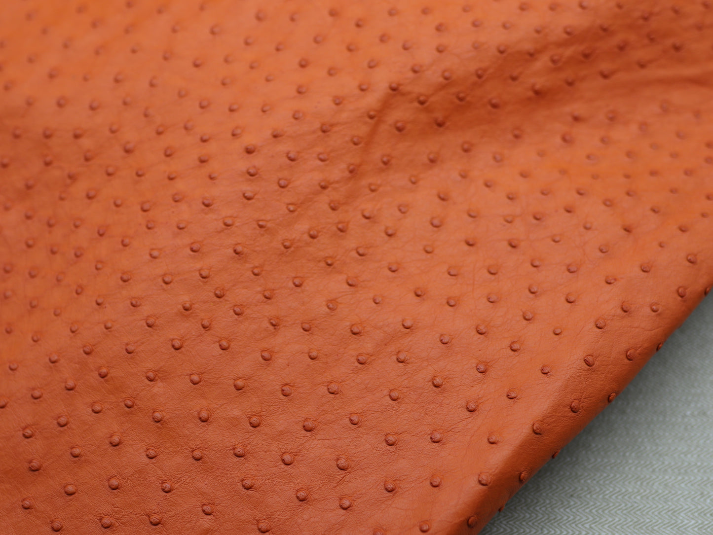 Genuine Ostrich Skin