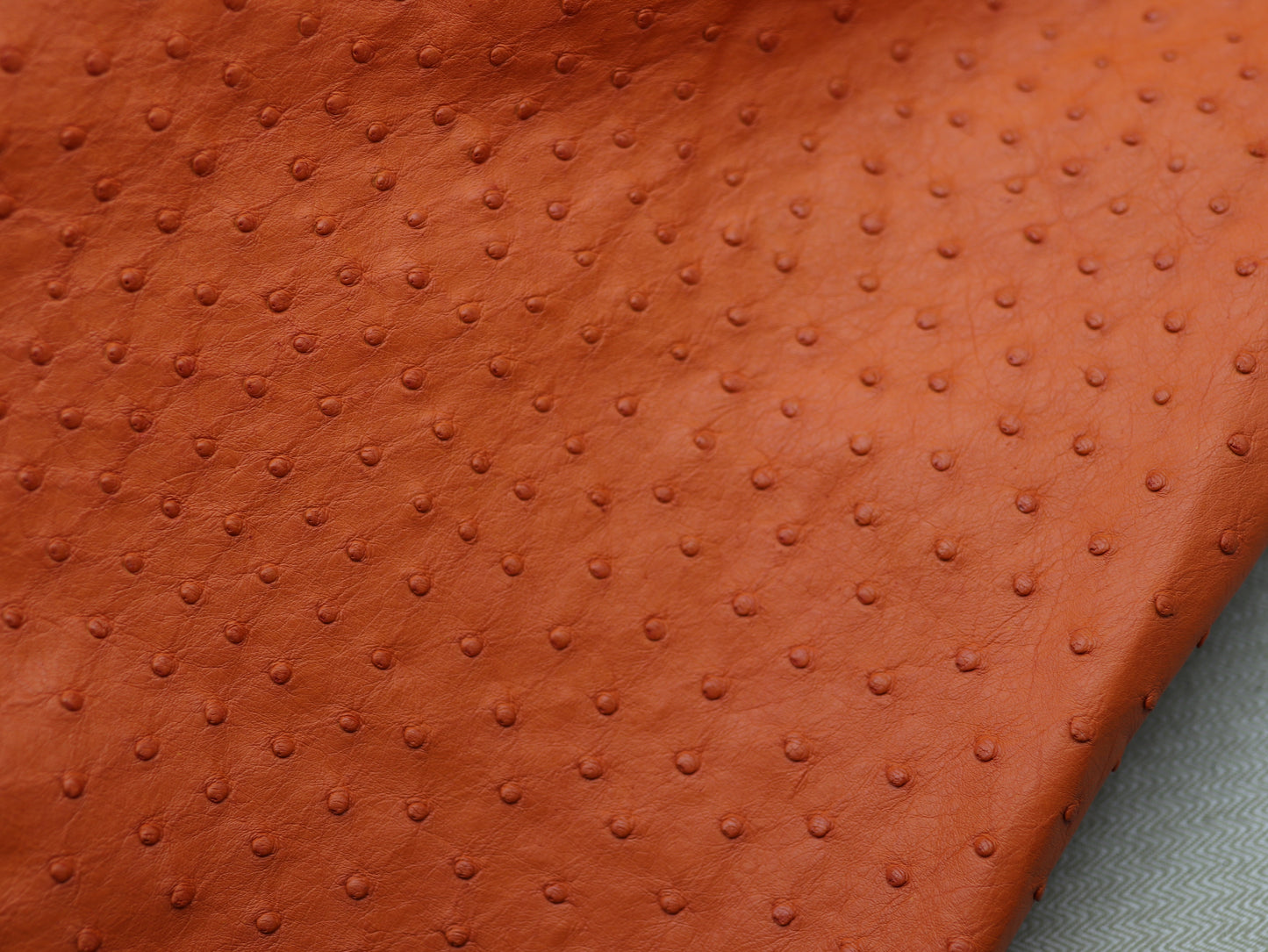 Genuine Ostrich Skin