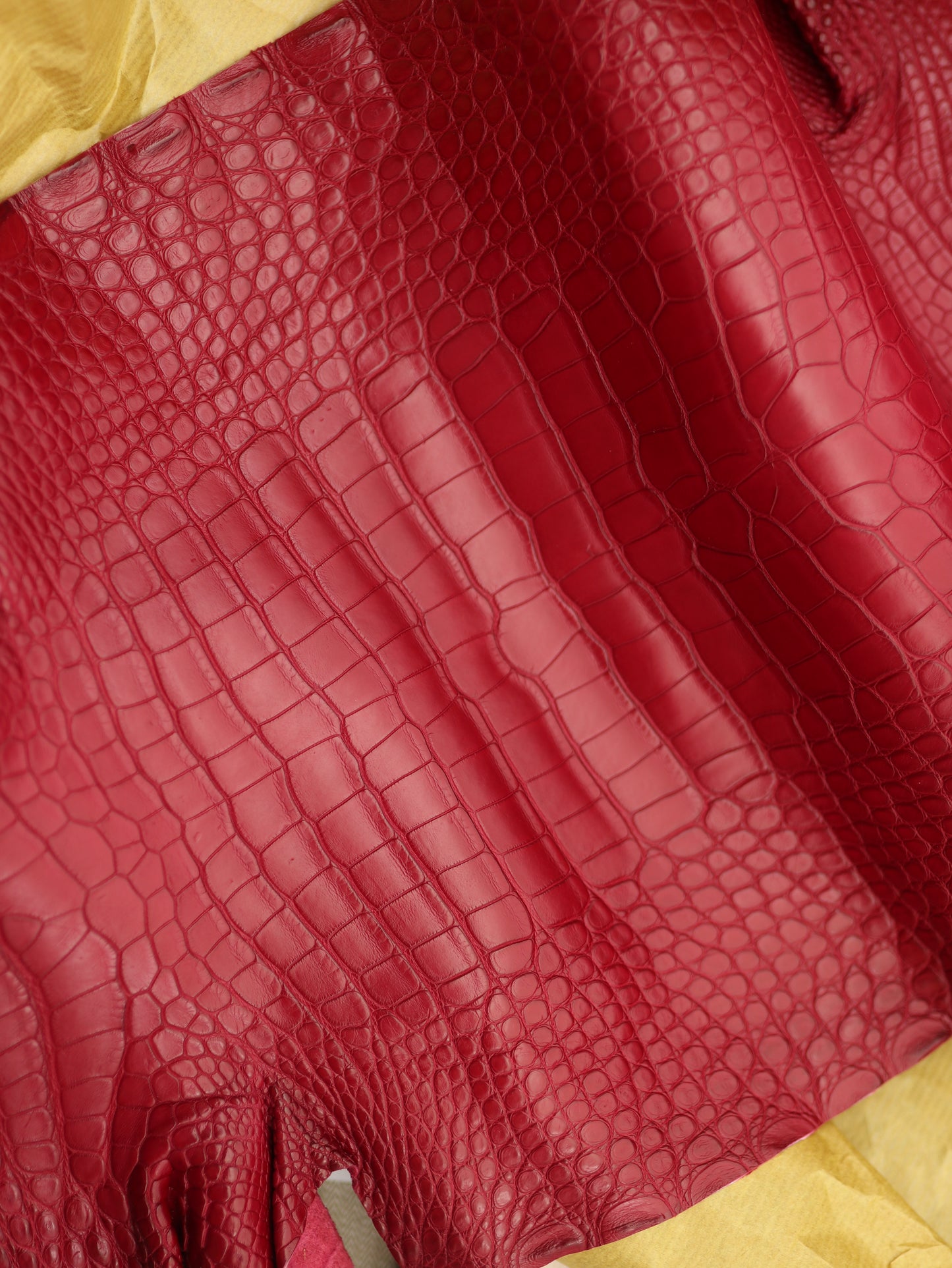 Genuine Red Alligator Skin