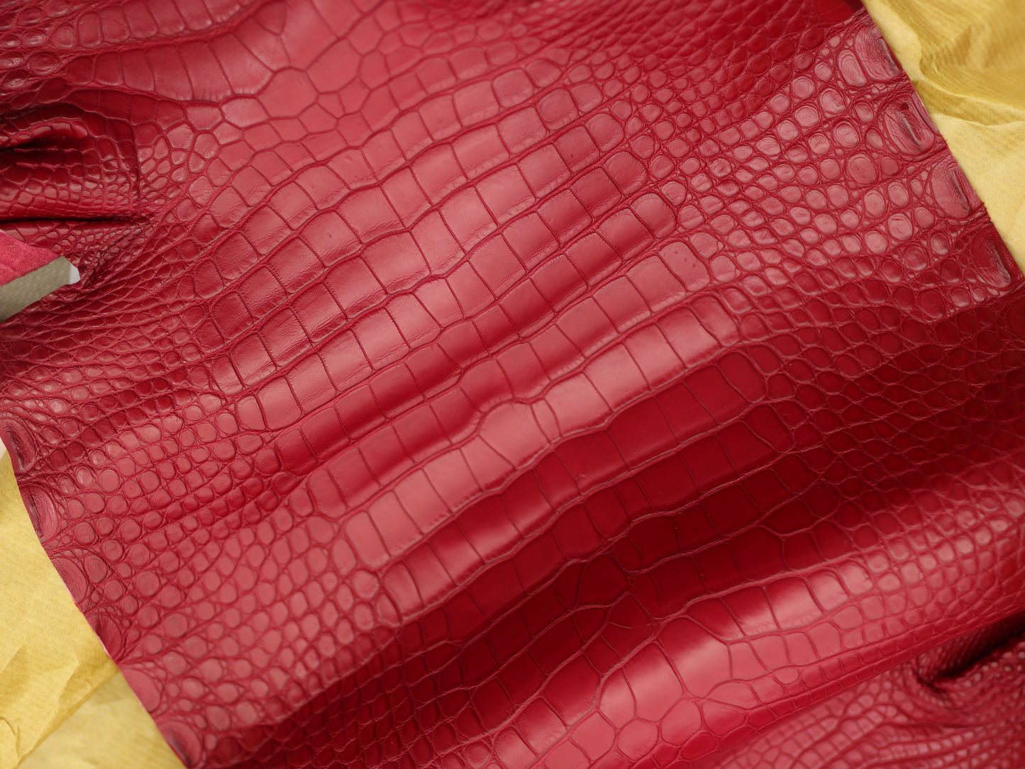Genuine Red Alligator Skin