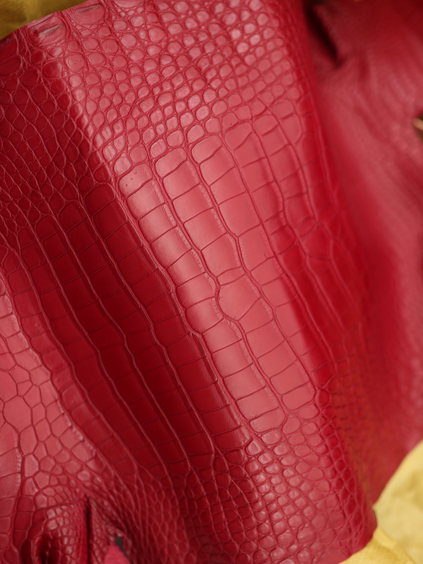 Genuine Red Alligator Skin