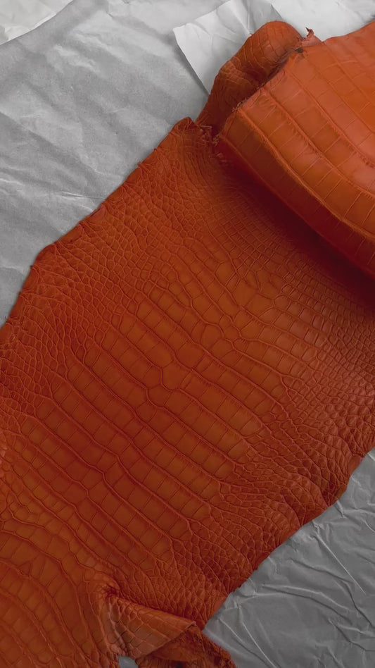 Genuine Orange Alligator Skin